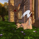 Thumb 510df0bb84e6fb3b66000001