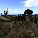 Thumb 55ac7afff8a1ec0dbd000001