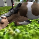 Thumb 55adaa7aa73e2136d6000001