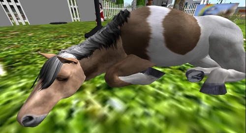 Web 55adaa7aa73e2136d6000001