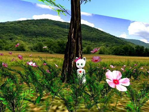 Web 5ea5d47b73ed1721868d5078