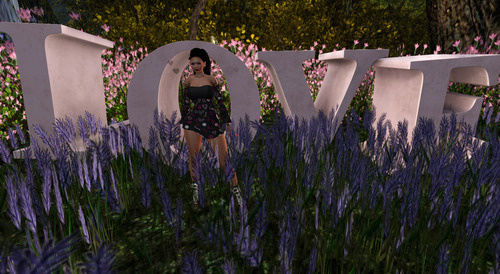 Web 667f27fb4fa27c3c434e126b