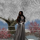 Thumb 546def1b8da5722a87000001