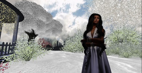 Web 546d93b2a73e21158a000001