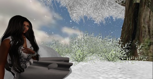 Web 546db23e128cc9141f000001