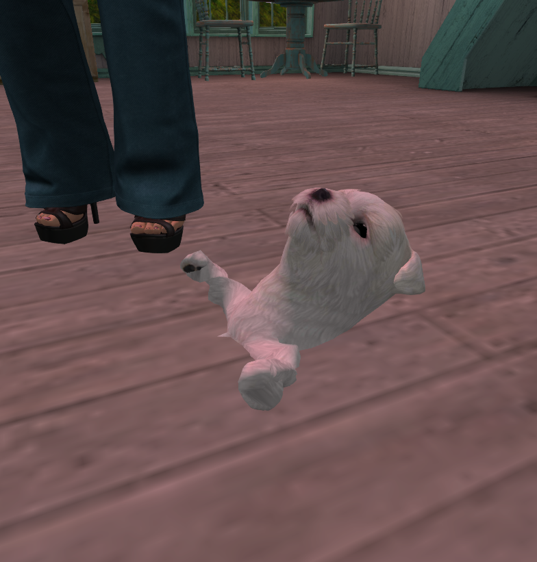 Original 5b176ca5d9859c6bee000001