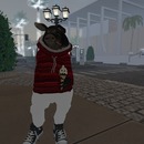 Thumb 582ca73ee85cda43d0000001