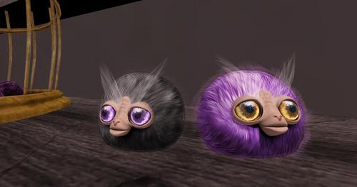 Web 5af600ddd9859c22c6000001