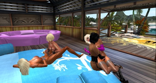 Web 56310cb2f8a1ec6f61000001