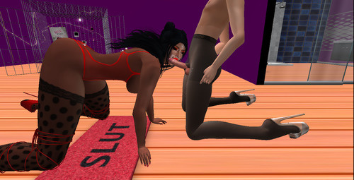 Web 636563e94a50456295b18b2d