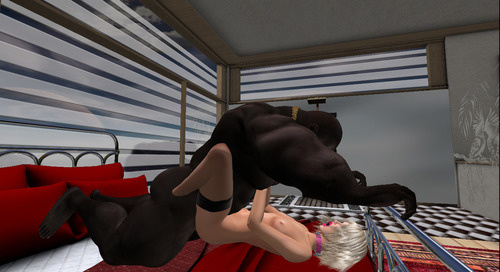 Web 6446daee05423f26d107fc00