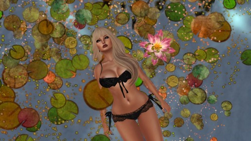 Web 56419f07f8a1ec594a000001