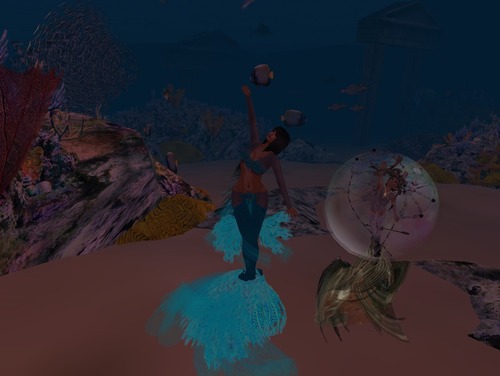 Web 505179aee263805dfb000001