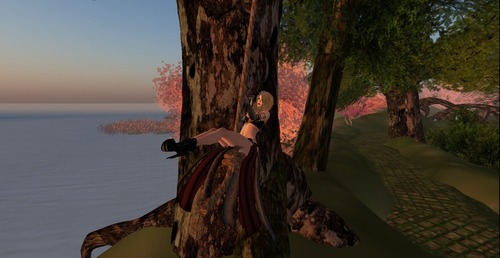 Web 51cbeac044d16f49a1000001