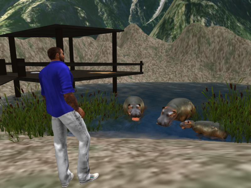 Original 539c0e50a73e214f7b000001