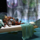 Thumb 55df7f7d128cc9106a000001