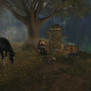 Thumb 65d778f9e653e62ceb892c2a