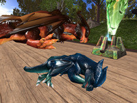 Small 63dfdbddf9f61906bc97ef0b