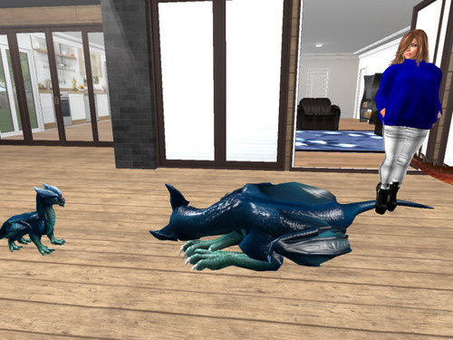 Web 63e182440f95263086634bb3