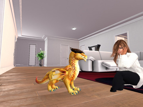 Web 63fb53d189c98131feb462dc