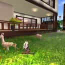 Thumb 536e27f9f8a1ec565a000001