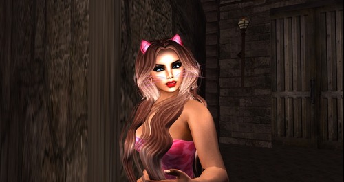 Web 537a58f0128cc911dd000001