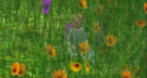 Web 537cfea1128cc93c31000001