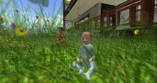 Web 537cff5b128cc94198000001