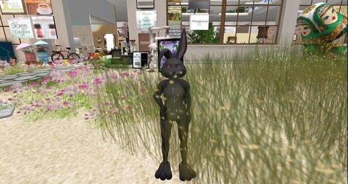 Web 5381b8b3a73e216089000001