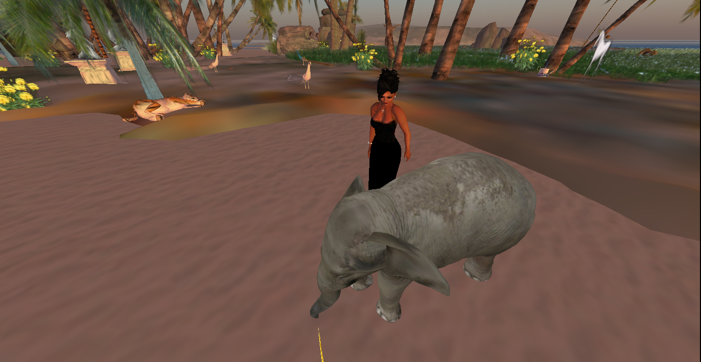 Original 5103107f67a9890e52000001