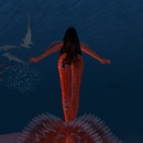 Thumb 507addcdc891351441000001