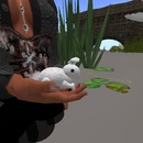 Thumb 50d5e6393396524d61000001