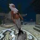 Thumb 50de5047c45c7c4201000001