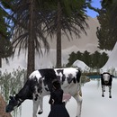 Thumb 50ec4cf9e88c2422d9000001