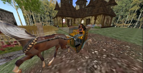 Web 50f13b81b6648d4102000001