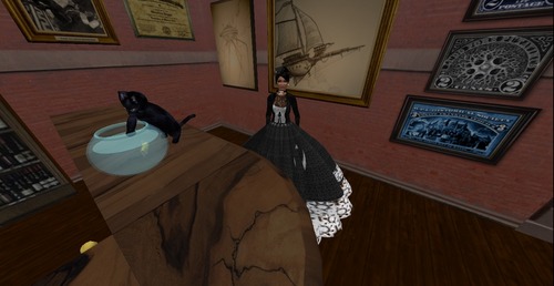 Web 50f533facaafff0de1000001