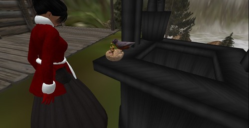 Web 50fec75a67ad3a251f000001