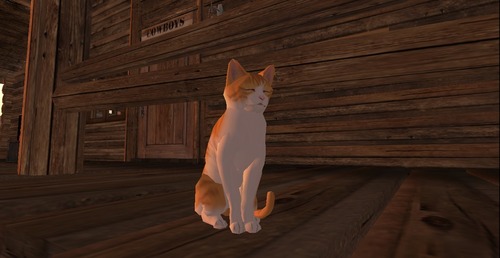 Web 5107b1f040a3563d36000001