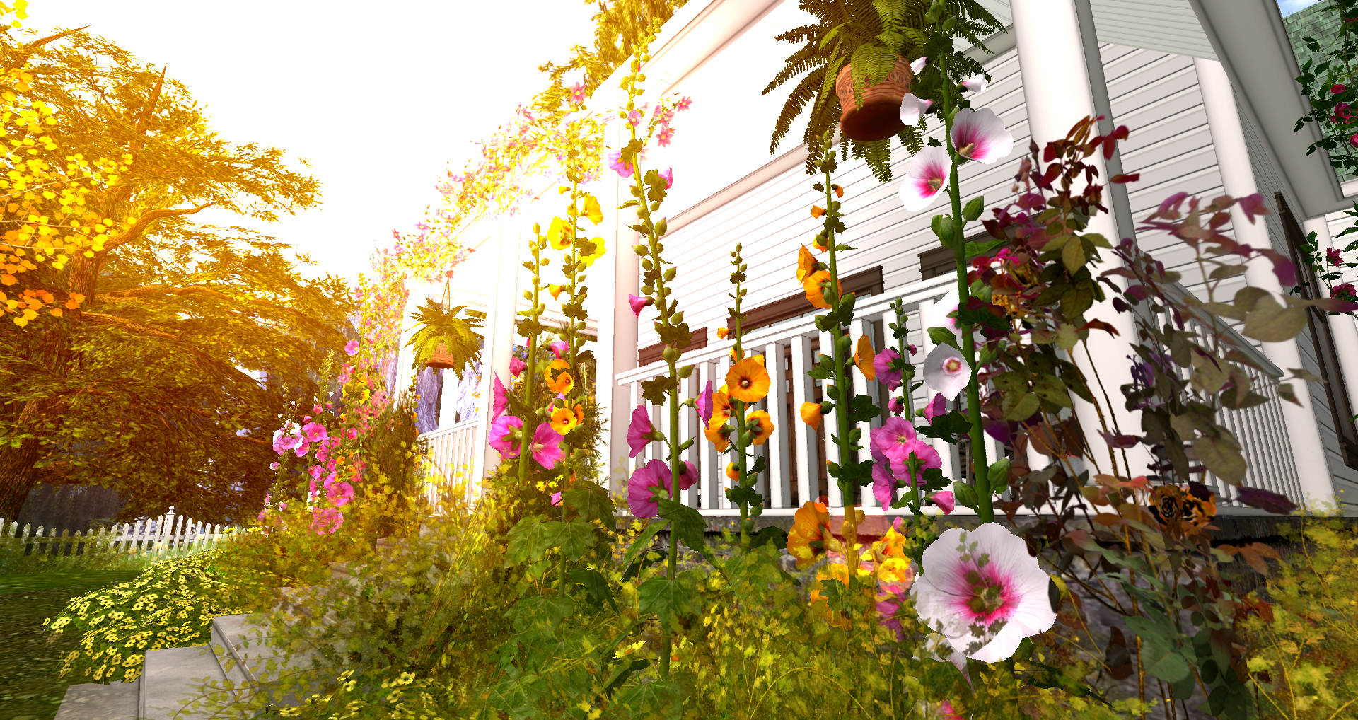 Original 582b656cf8a1ec531a000001