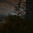 Thumb 5abe8c0ad9859c583f000001