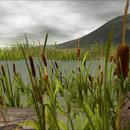 Thumb 5b3124bcd774f85dbb000001