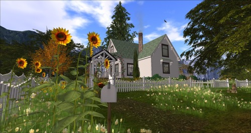 Web 582b6563b713f74632000001