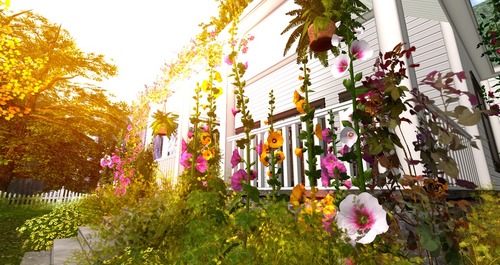 Web 582b656cf8a1ec531a000001