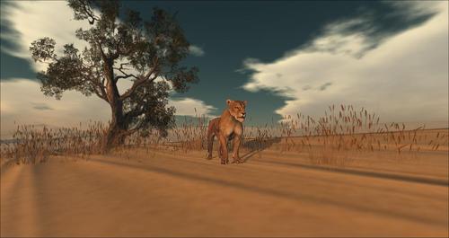 Web 5ad0bf6d289dd24103000001