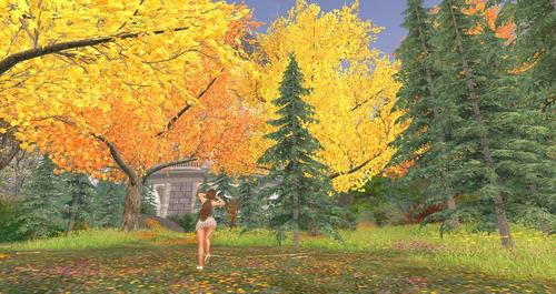 Web 5b9fac09d9859c5e8f000001