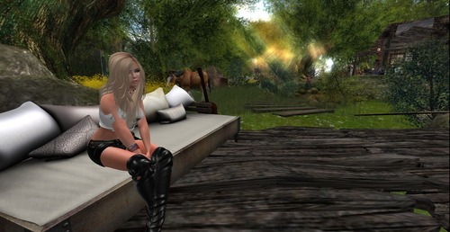 Web 54569ceaf8a1ec1843000001