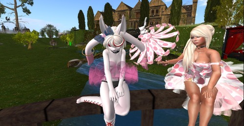 Web 545a82f7f8a1ec5184000001