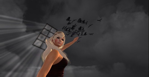 Web 548f67978da5725643000001