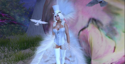 Web 5494f30d128cc956dd000001