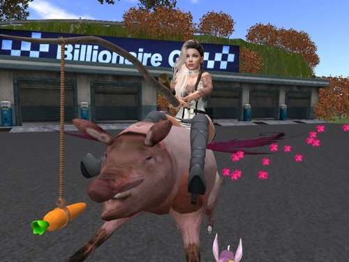 Web 582f6b79b713f7755b000001